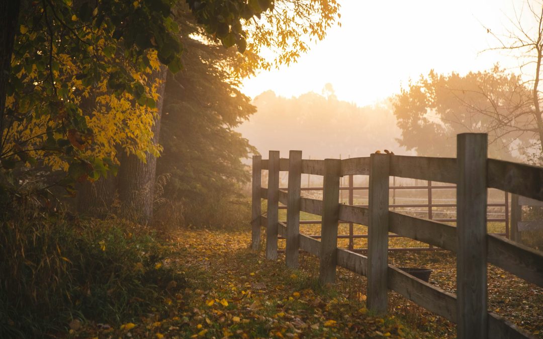 True Crime Books About Rural Minnesota: Murders, Mysteries, and Mayhem