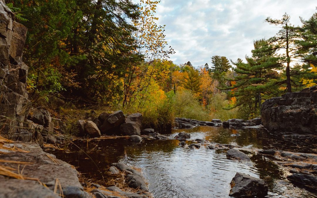 1800s Crime Stories Recorded in Chippewa County, Minnesota
